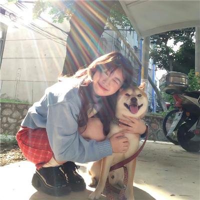 诺亚方舟漂流记2